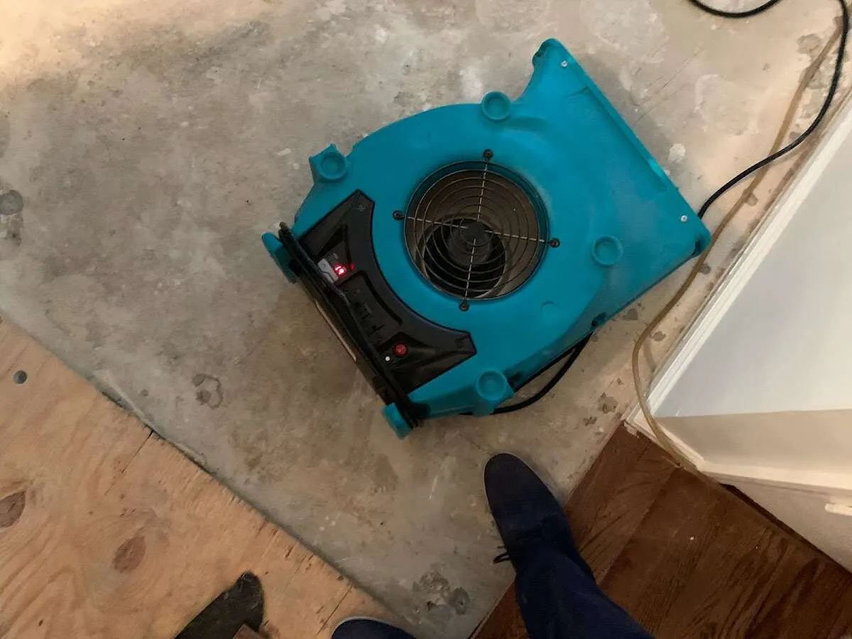 Air mover drying subfloor during Commercial Water Damage Restoration in Carson City